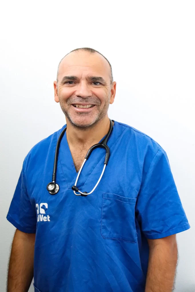 ValVet Faial – Equipa