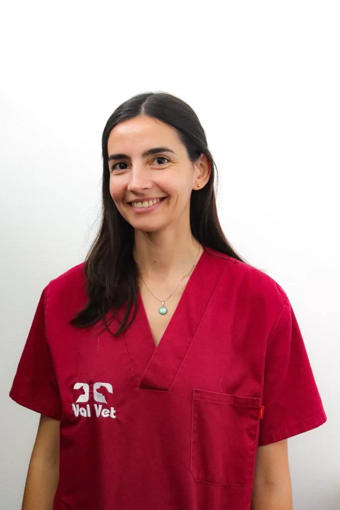 ValVet Faial – Equipa